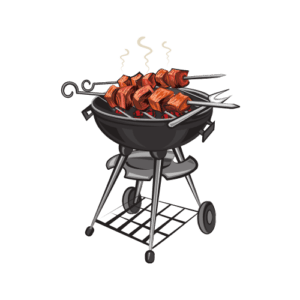 Brochettes barbecue grill