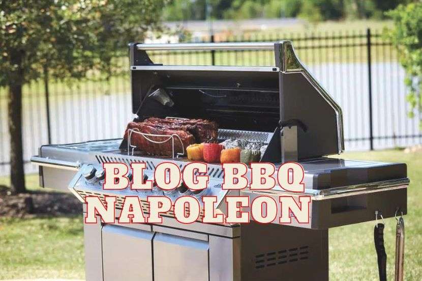Napoleon barbecue blog