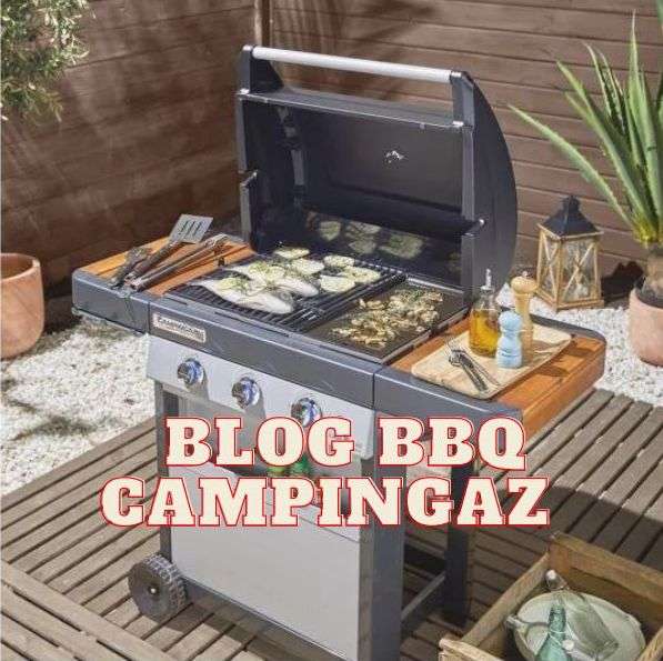 Campingaz barbecue blog